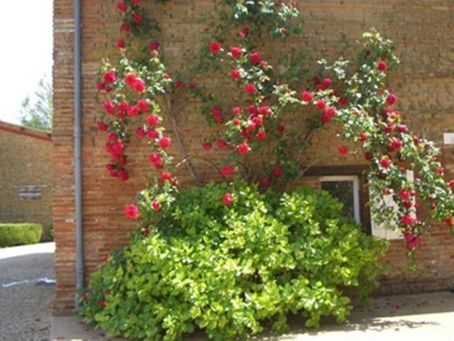 Le Platane Bed & Breakfast Lafrançaise Eksteriør bilde