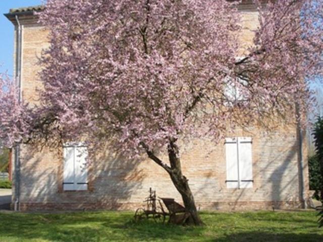 Le Platane Bed & Breakfast Lafrançaise Eksteriør bilde