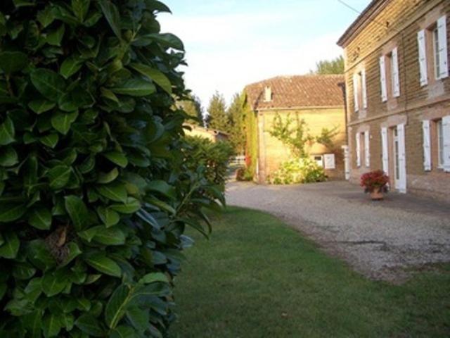 Le Platane Bed & Breakfast Lafrançaise Eksteriør bilde